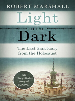 cover image of Light in the Dark